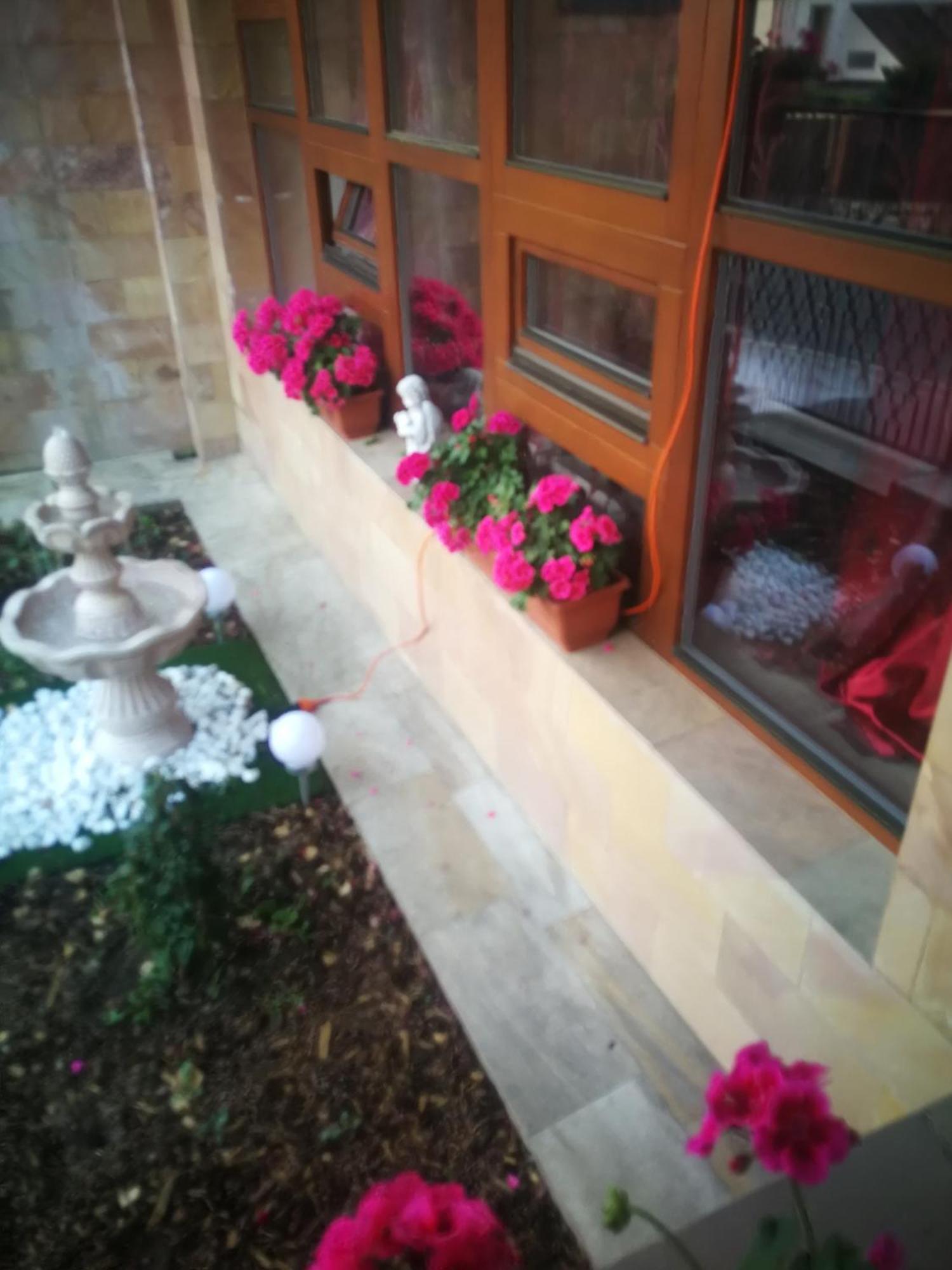 Vila Barrandovska Patro 2 Prag Dış mekan fotoğraf